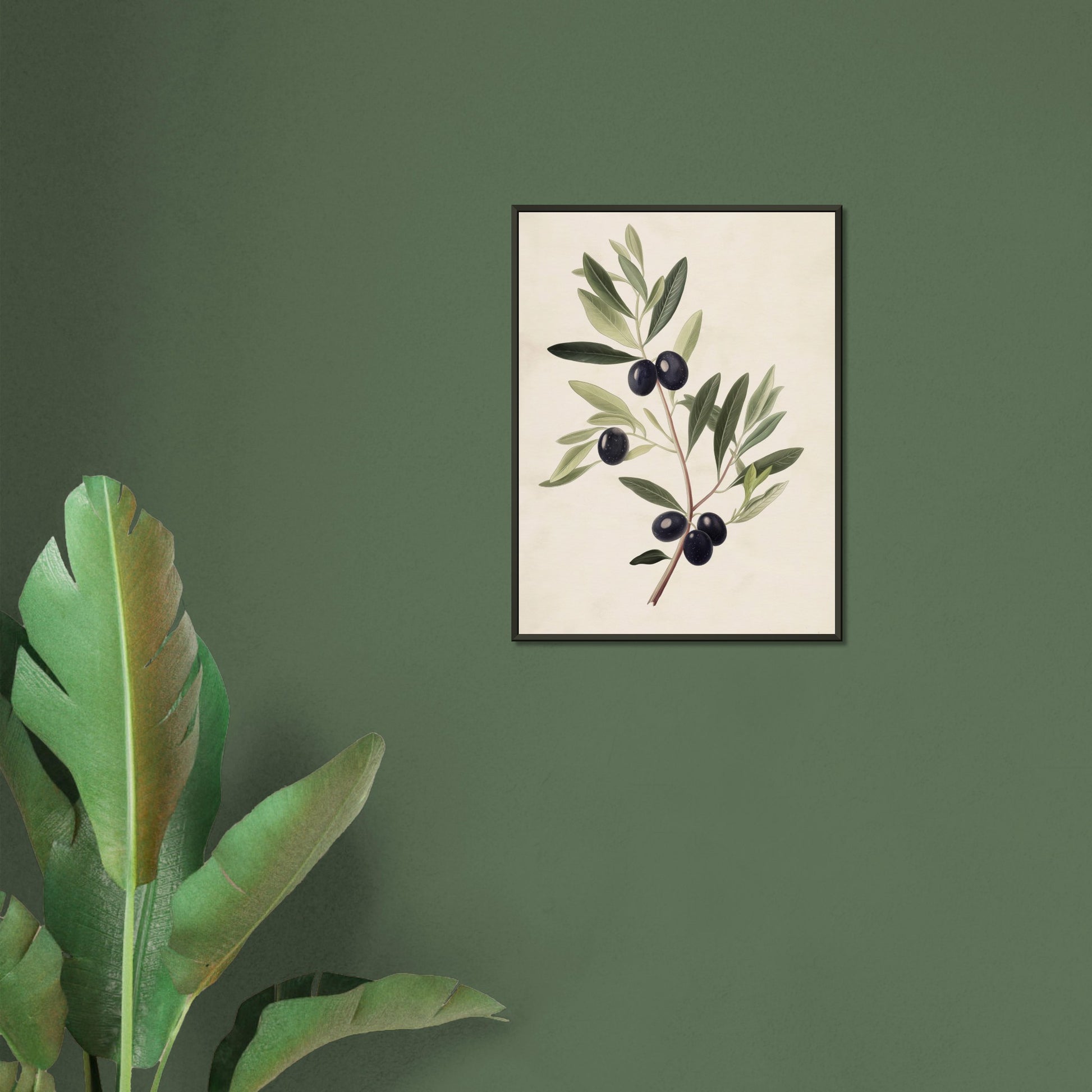 Verdant Vitality - Black Olive Branch - Fine arts-print-in-aluminum-frame