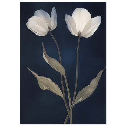 Midnight Blooms - Floral Art-poster