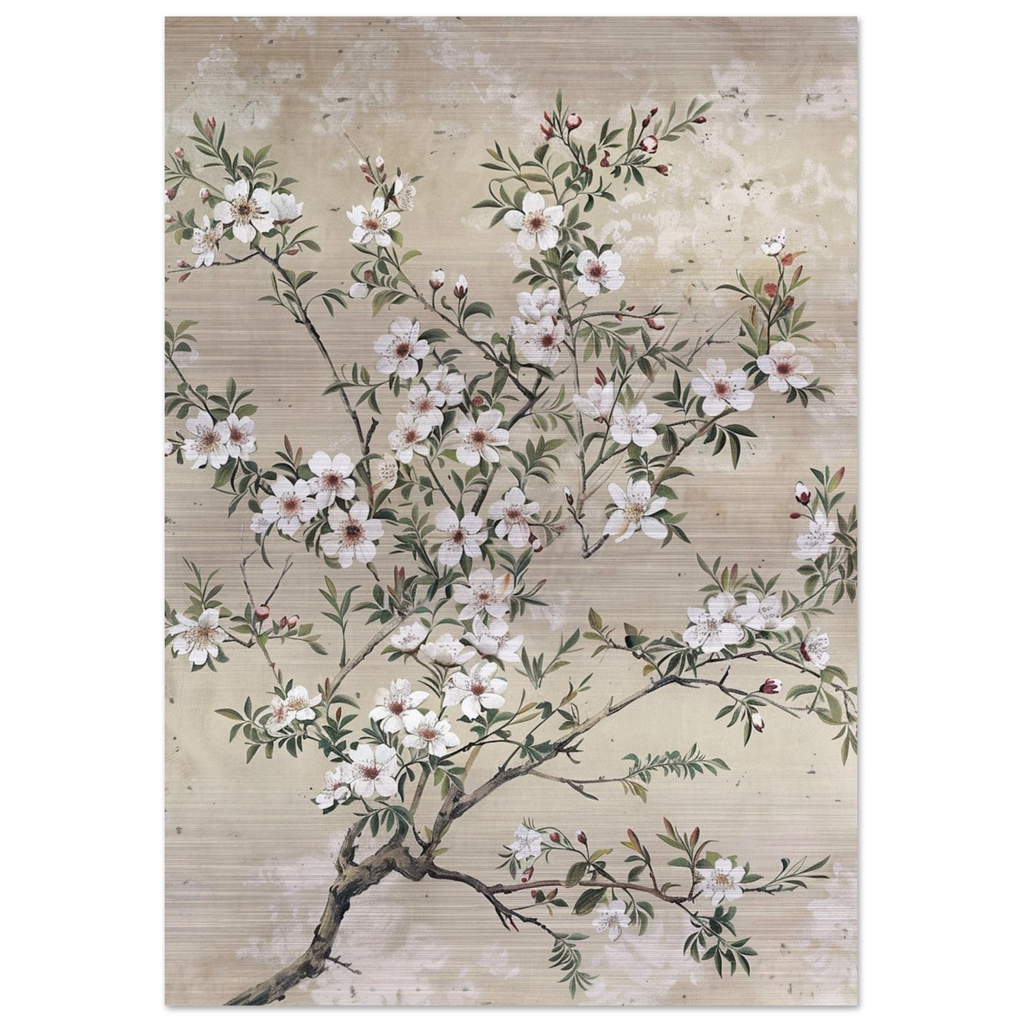 Spring's First Blush - Japanese Sakura Blossoms Art - Floral Art-print-on-aluminum