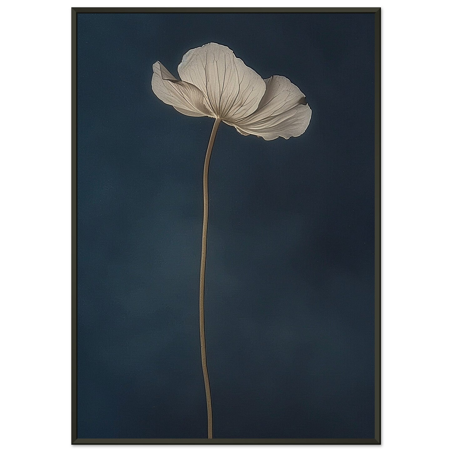 Nocturnal Grace - Floral Art-print-in-aluminum-frame