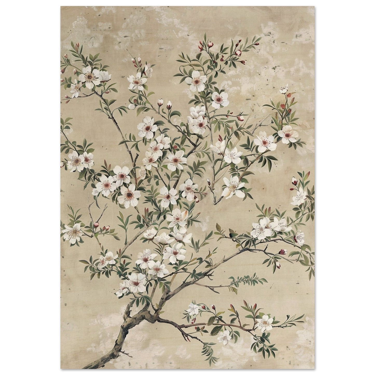 Spring's First Blush - Japanese Sakura Blossoms Art - Floral Art-print-on-wood