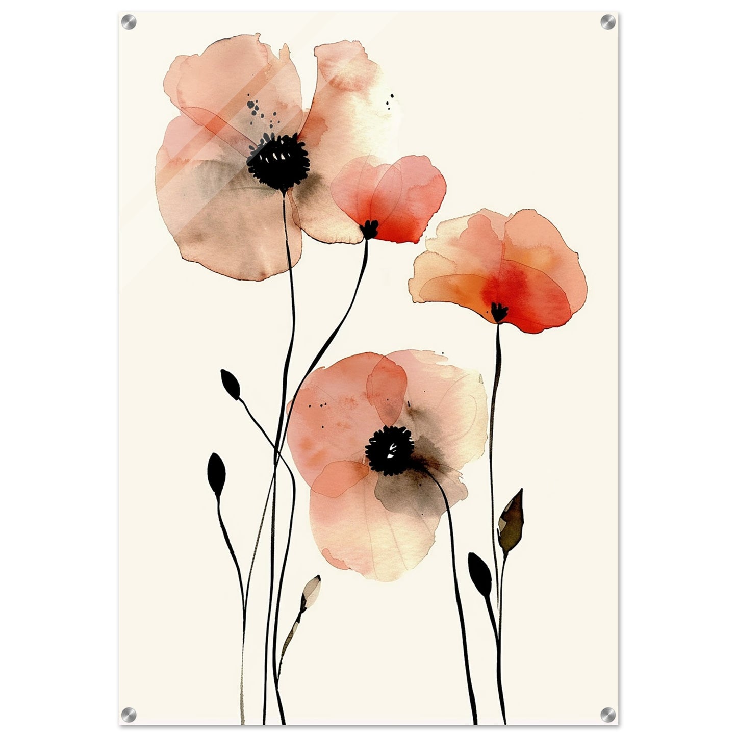 Whispering Poppies - Fine arts-print-on-acrylic