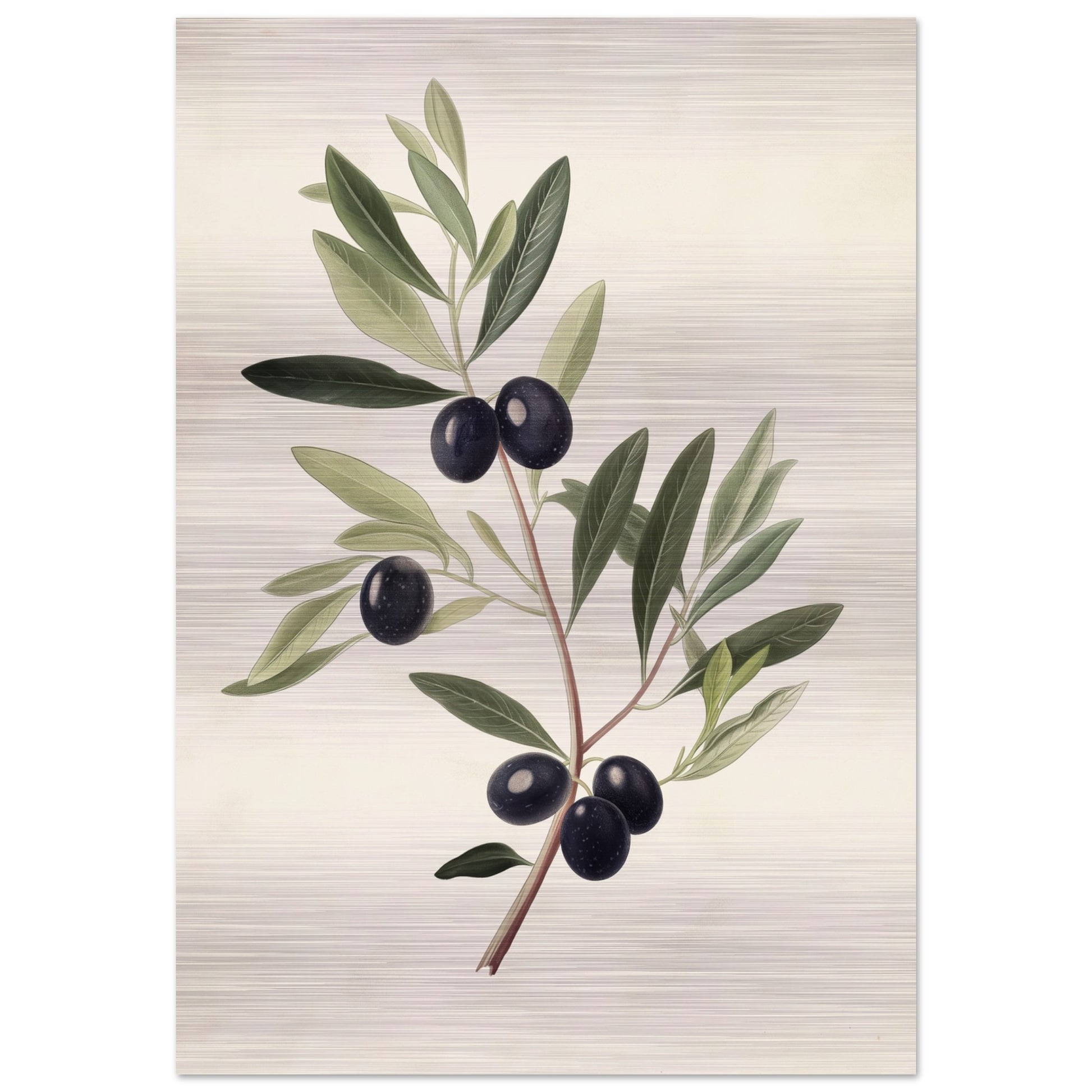 Verdant Vitality - Black Olive Branch - Fine arts-print-on-aluminum