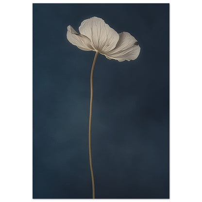 Nocturnal Grace - Floral Art-print-on-foam-board