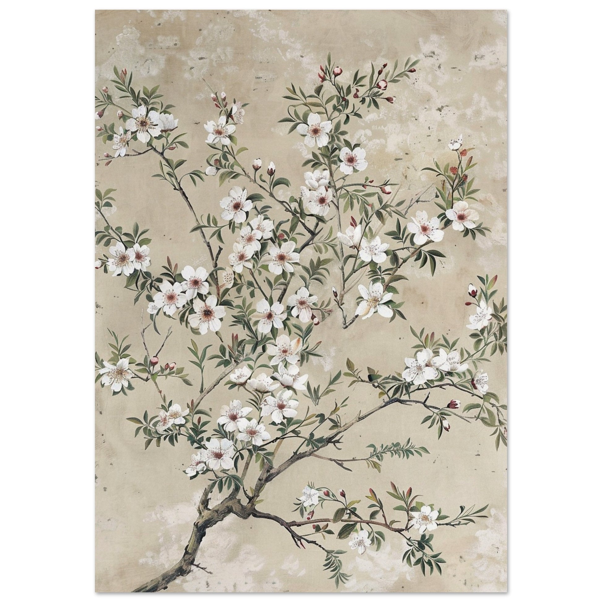 Spring's First Blush - Japanese Sakura Blossoms Art - Floral Art-poster