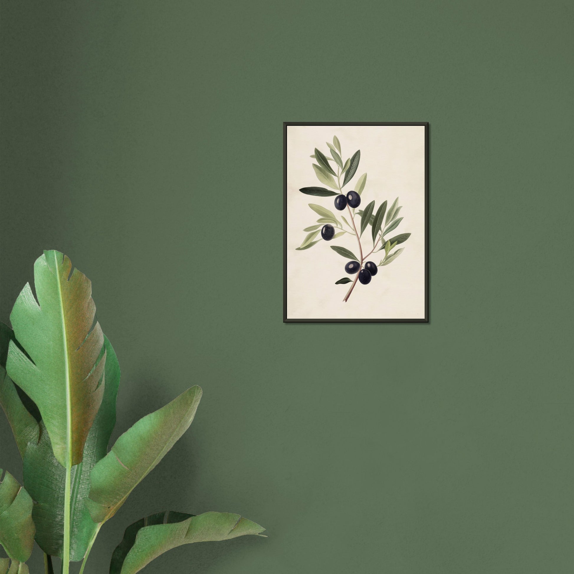 Verdant Vitality - Black Olive Branch - Fine arts-print-in-aluminum-frame