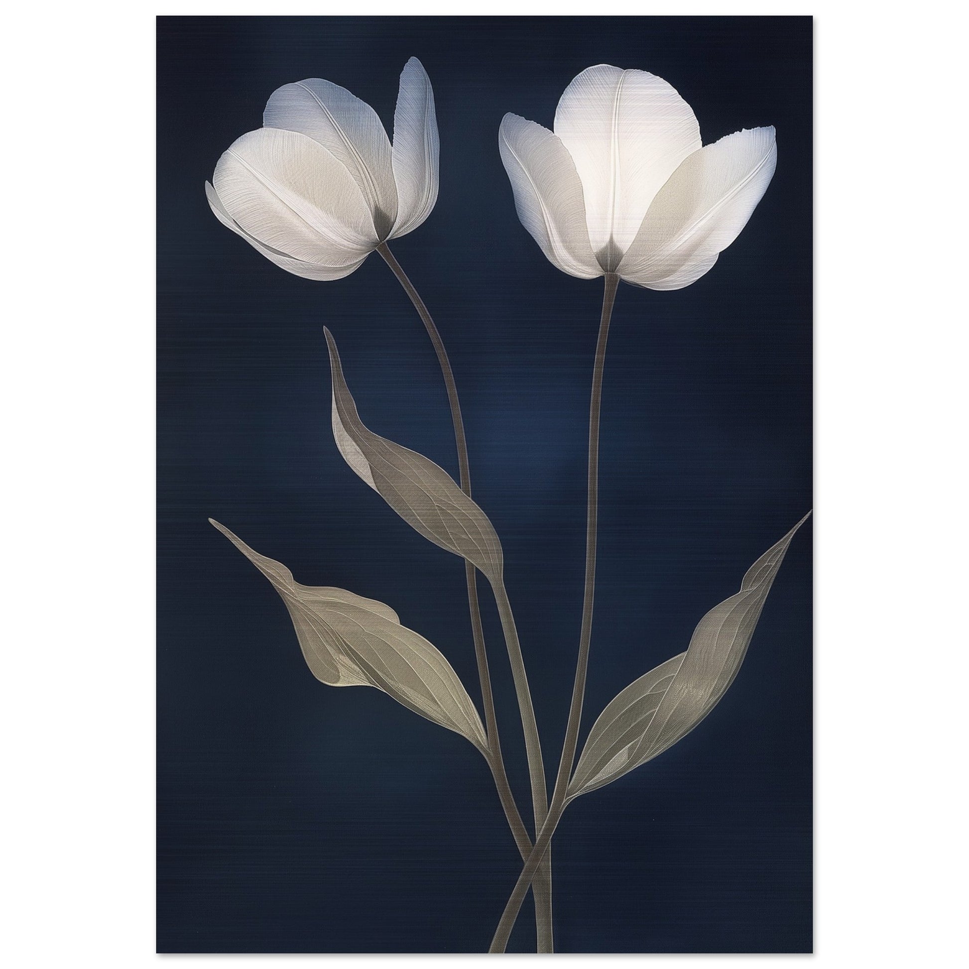 Midnight Blooms - Floral Art-print-on-aluminum