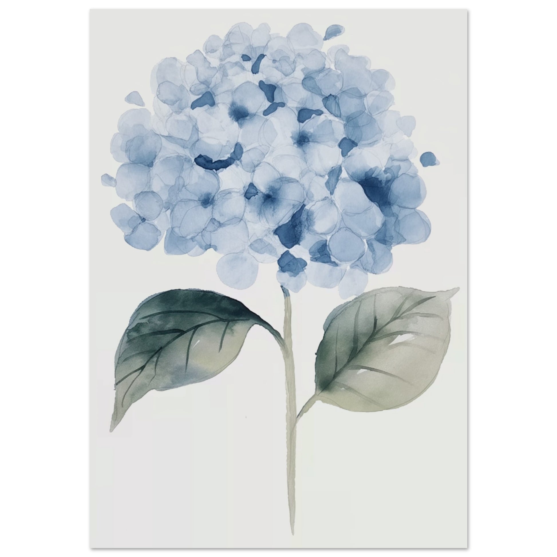 Hortensia Hues - The Watercolor Whisper - Floral Art-print-on-foam-board