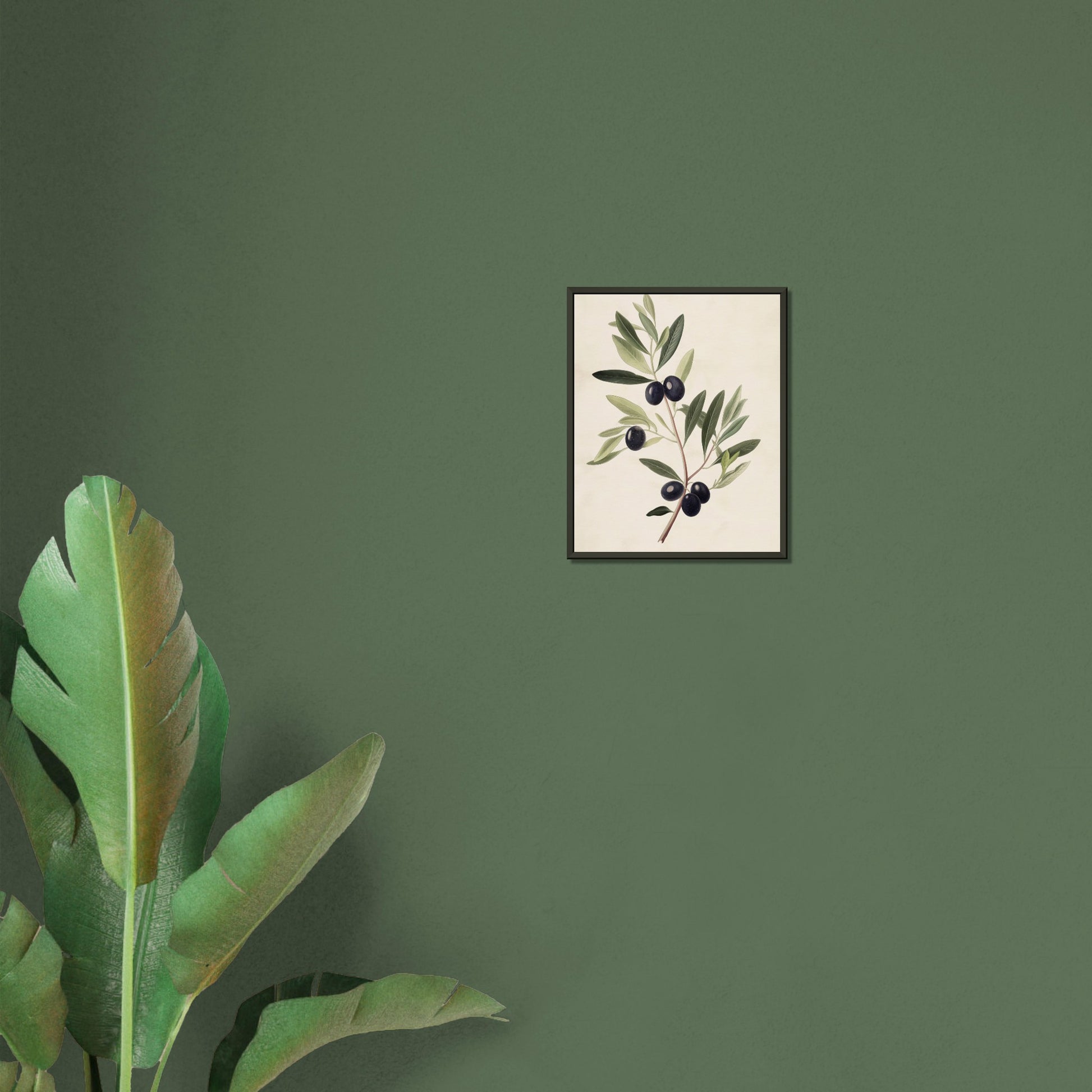 Verdant Vitality - Black Olive Branch - Fine arts-print-in-aluminum-frame